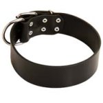 Extra Wide Leather Buckle Collar for Cane Corso