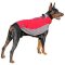 All Weather Nylon Dog Coat for All Large Breed Dogs