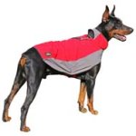 All Weather Nylon Dog Coat for All Large Breed Dogs