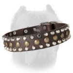 Fashion Leather Dog Collar for Cane Corso with 3 Rows Adornment