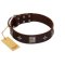"Cold Star" Designer FDT Artisan Brown Leather Cane Corso Collar with Silver-Like Adornments