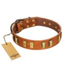"Olive Slice" FDT Artisan Tan Leather Cane Corso Collar with Engraved and Smooth Plates