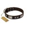 "Satin Beauts" FDT Artisan Brown Leather Cane Corso Collar with Stars and Plates