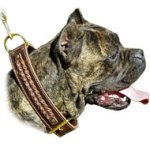 Braided Dog Collars-Wide 2 ply Leather Cane Corso Collar