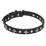 'Pleiades' Leather Cane Corso Collar with Chrome Plated Stars and Studs