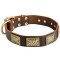 Walking and Training Cane Corso Collar with Vintage Plates