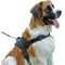 Superior Training Nylon Dog Harness for Moscow Watchdog
