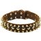 Designer Leather Spiked and Studded Dog Collar for Cane Corso