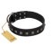"Natural Beauty" Premium Quality FDT Artisan Black Designer Cane Corso Collar with Dotted Studs