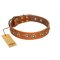 "Precious Relic" FDT Artisan Tan Leather Cane Corso Collar Adorned with Old Bronze Look Studs