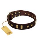 "Choco Delight" FDT Artisan Brown Leather Cane Corso Collar with Old Bronze-like Plates and Studs