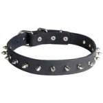 Fashionable Leather Cane Corso Collar with One Row of Spikes for Daily Walking