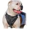 Attack Training Bulldog Breed Harness with Thick Soft Chest Padding