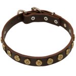 Leather Large Collar with Doted Circles for Massive Dog Breeds