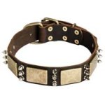Handcrafted Vintage Spiked Dog Collar for Cane Corso Breed