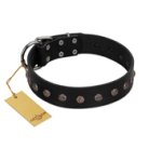 "Flower Rhapsody" FDT Artisan Premium Quaulity Black Leather Cane Corso Collar