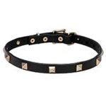 Leather Cane Corso Collar with Small Brass Pyramids