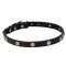 Wide Leather Cane Corso Collar with 'Embossed Daisy' Brass Studs 3/4 Inch (20 mm)