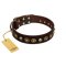 "Street Fashion" FDT Artisan Brown Leather Cane Corso Collar Adorned with Circles and Skulls