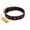 "Trendy Candy" FDT Artisan Brown Leather Cane Corso Collar Adorned with Stars and Tiny Squares