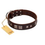 "Object of Virtu" FDT Artisan Brown Leather Cane Corso Collar with Old Silver-like Square Studs and Pyramids
