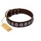 "Charming Circles" FDT Artisan Brown Leather Cane Corso Collar with Silver-like Studs