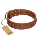 "Silver Century" Fashionable FDT Artisan Tan Leather Cane Corso Collar with Silver-Like Plates