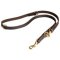 Leather Dog Slip Leash for Different Activities