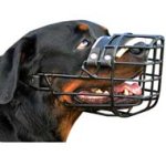 Rubber Covered Wire Dog Muzzle For Rottweilers-Winter Muzzle Presentation