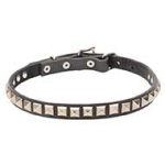 "King Studs" Leather Cane Corso Collar with Chrome Plated Adornment
