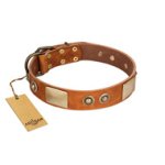 "Perfect Blend" FDT Artisan Tan Leather Cane Corso Collar 1 1/2 inch (40 mm) wide
