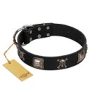 "Sea Rover" Embellished FDT Artisan Black Leather Cane Corso Collar with Chrome Plated Crossbones and Plates