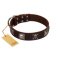 "Nut-Brown Finery" Embellished FDT Artisan Brown Leather Cane Corso Collar with Chrome Plated Crossbones and Plates