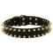 Designer Leather Cane Corso Collar with Brass Spikes for Fashion Walking
