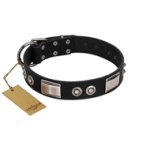 "Grand Wear" FDT Artisan Black Leather Cane Corso Collar with Shining Plates and Spiked Studs