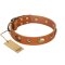 "Visual Magic" FDT Artisan Tan Leather Cane Corso Collar for Daily Activities