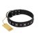 "Polar Lights" Designer FDT Artisan Black Leather Cane Corso Collar with Silver-Like Studs