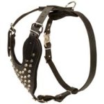 Leather Studded Dog Harness for Cane Corso with Silver Color Pyramids