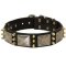 Designer Spiked Leather Dog Collar with Vintage Nickel Massive Plates and 3 Brass Spikes