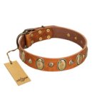 "Venus Breath" FDT Artisan Tan Leather Cane Corso Collar with Vintage Looking Oval and Round Studs