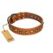 "Prez of the Pack" FDT Artisan Tan Leather Cane Corso Collar with Skulls and Brooches