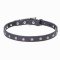 Designer Leather Cane Corso Collar with Nickel Plated Stars