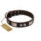 "Baller Status" FDT Artisan Brown Leather Cane Corso Collar Adorned with a Set of Chrome Plated Studs and Plates