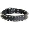 Leather Spiked Dog Collar for Cane Corso