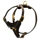 Y-shaped Leather Handicraft Cane Corso Breed Dog Harness