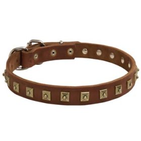 Gorgeous Decorated Leather Collar for Cane Corso