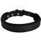 Beautiful Collar with Felt Padding for Attack / Protection Training