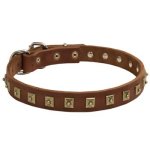 Gorgeous Decorated Leather Collar for Cane Corso