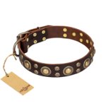 'Flower Melody' FDT Artisan Brown Leather Cane Corso Collar with Mixed Studs