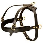 Tracking/Pulling/Agitation Leather Dog Harness for Cane Corso Breed